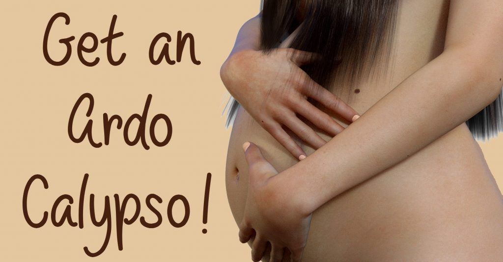 Get an Ardo Calypso double breast pump