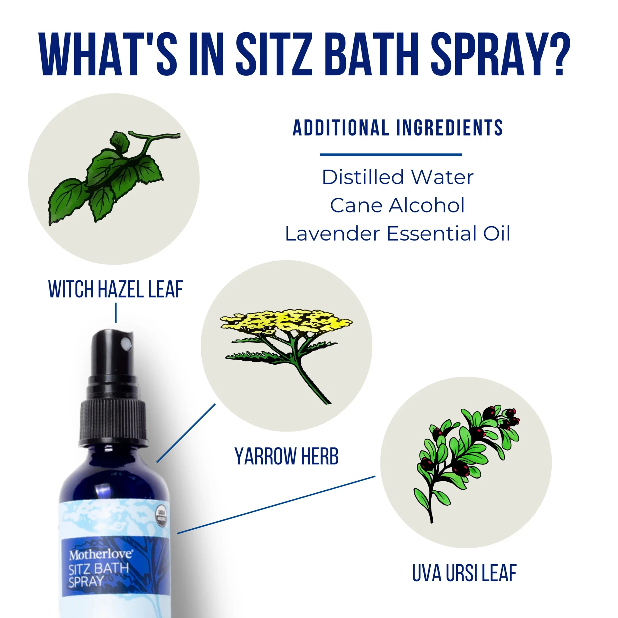 Motherlove Sitz Bath Spray infographic