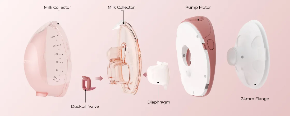 Momcozy W1 breast pump parts diagram: milk collector, duckbill valve, diaphragm, pump motor and 24 mm flange
